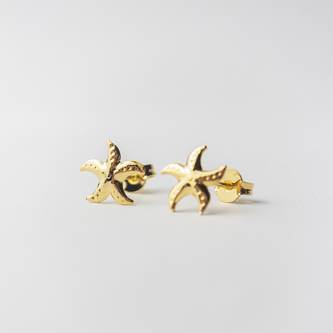 BRINCO ESTRELA DO MAR BRINCO ESTRELA DO MAR